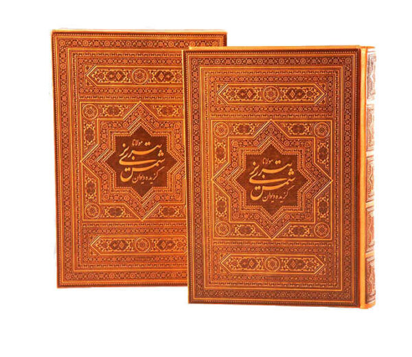 鲁米诗集：精选诗篇（双语：波斯文 & 英文）