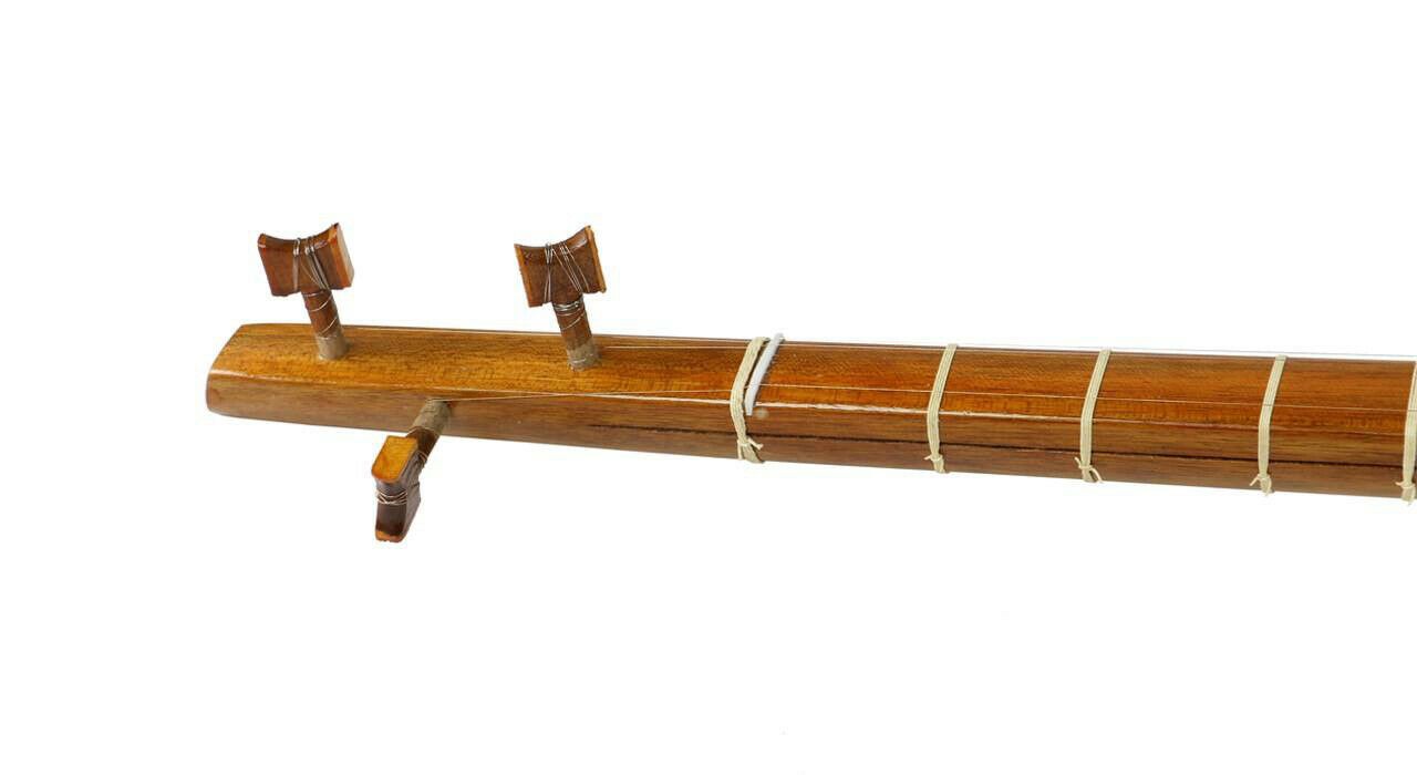 波斯坦布尔（Tanbur）乐器 – Akbari经济款