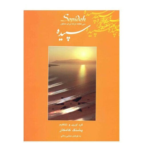 Main image of Pashang Kamkar《桑图尔曲集》30首