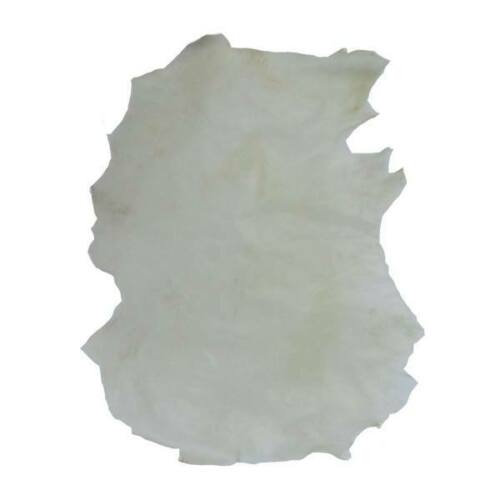 Main image of 波斯塔尔琴天然羊皮