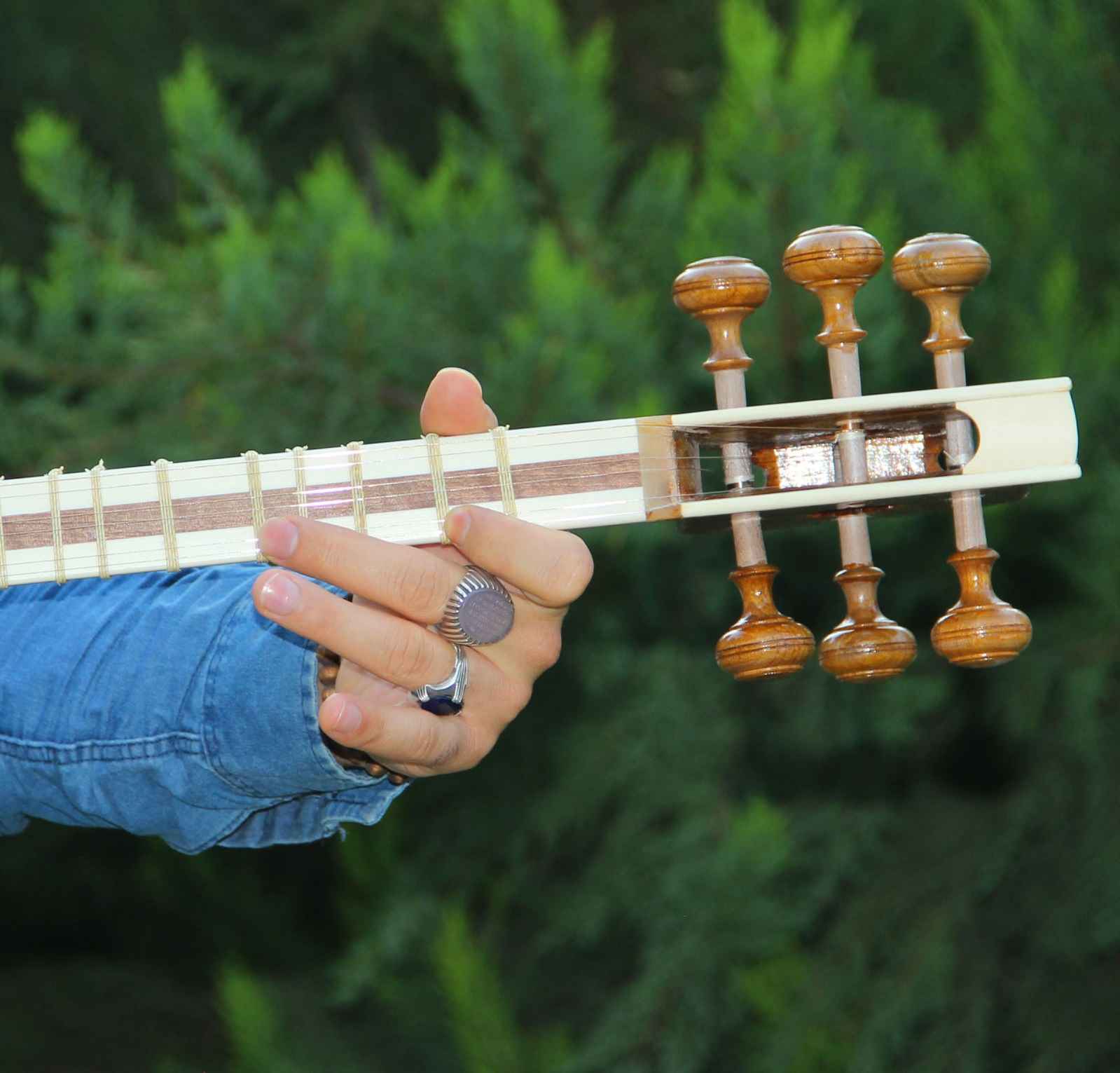 波斯塔尔弦乐器 – 手工制作,IranSaz出品,H700型号