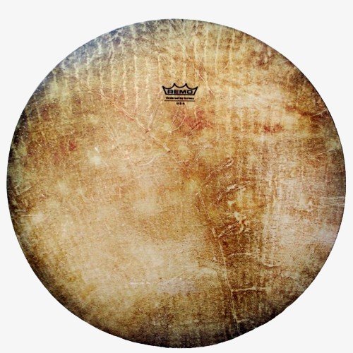 Main image of 波斯达夫鼓 – Sama Remo Star 款