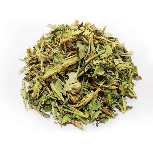 干 Falcaria vulgaris 叶 – 500 克，高级草本茶原料