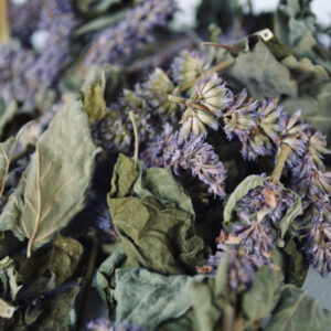 干牛膝草（Hyssopus officinalis）– 700 克，高级芳香草本