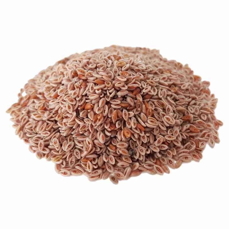 干车前子(Ispaghula Seeds / Psyllium)– 600 克
