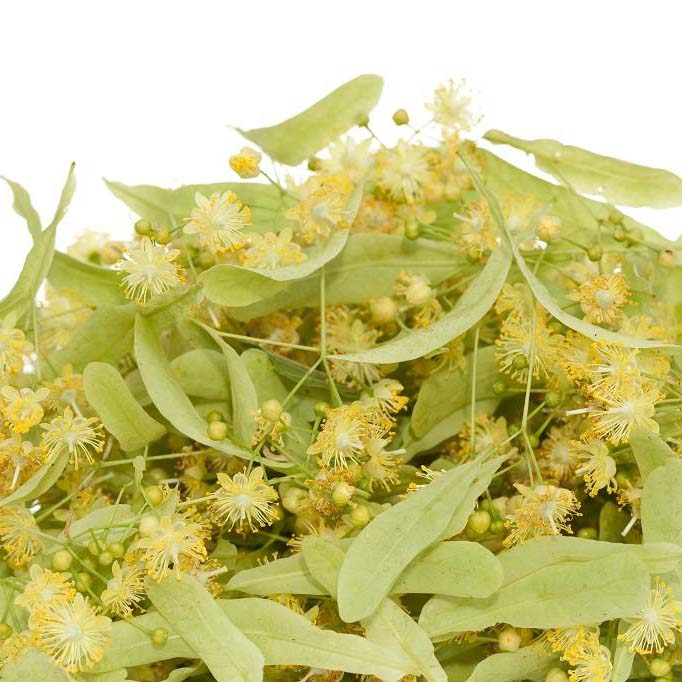 干椴树叶与花 500克