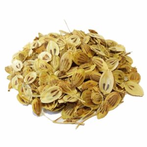 Golpar：干当归籽 / 波斯荨麻 – 800 克，芳香烹饪草本