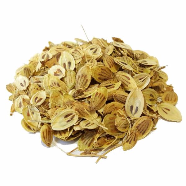 Golpar：干当归籽 / 波斯荨麻 – 800 克，芳香烹饪草本