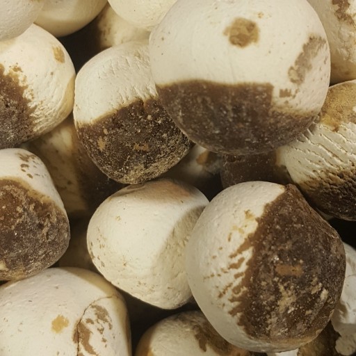 混合波斯 Kashk – 白色 & 黑色干凝乳,800 克