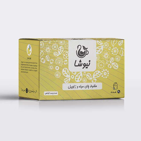 纽莎 生姜味红茶 70克(10包)