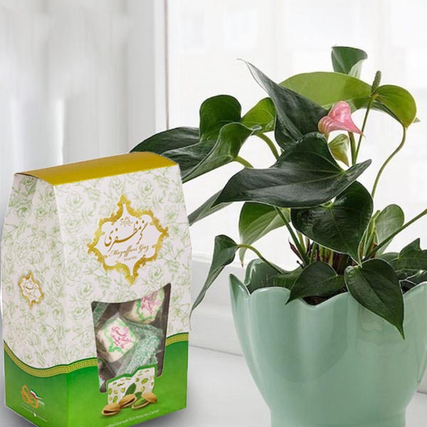 莫扎法里加兹(三包装):开心果 – 传统伊朗玫瑰水牛轧糖,200克(4份)