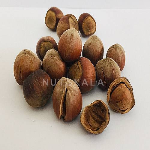 生整波斯核桃 – 900 克