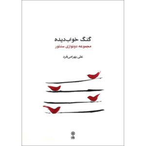 《Gong-e Khâbdide》 – Ali Bahrami Fard 波斯 Santur 二重奏精选