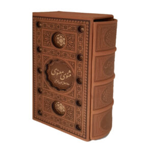 《鲁米 Masnavi》书：名言与诗歌（波斯文版）