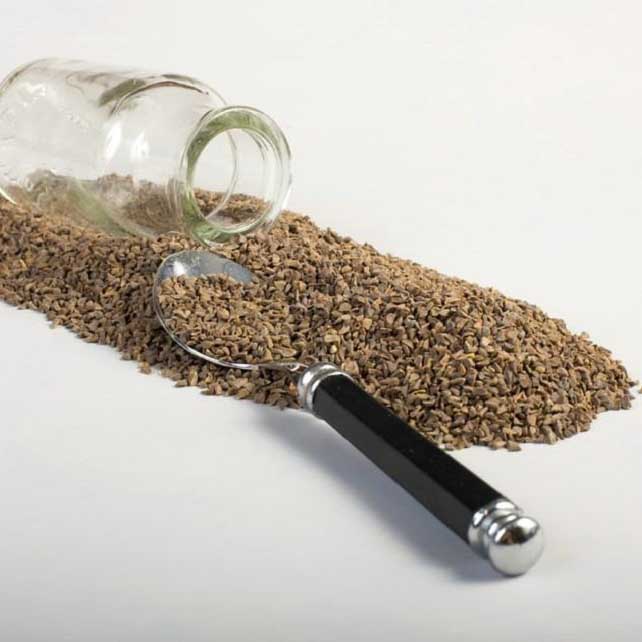 Main image of Peganum Harmala 种子（Steppenraute）– 600 克