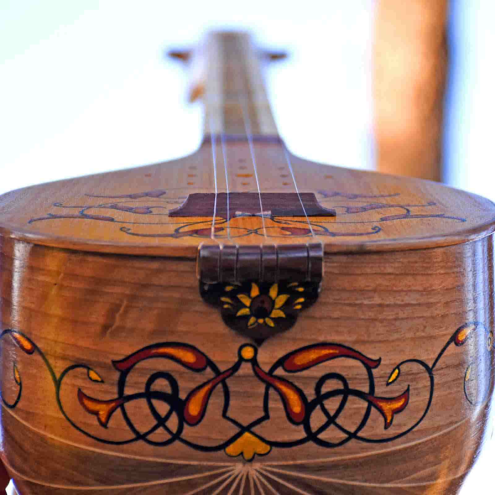 伊朗 Setar – Iransaz 手工制作，Berna 款（专家级）