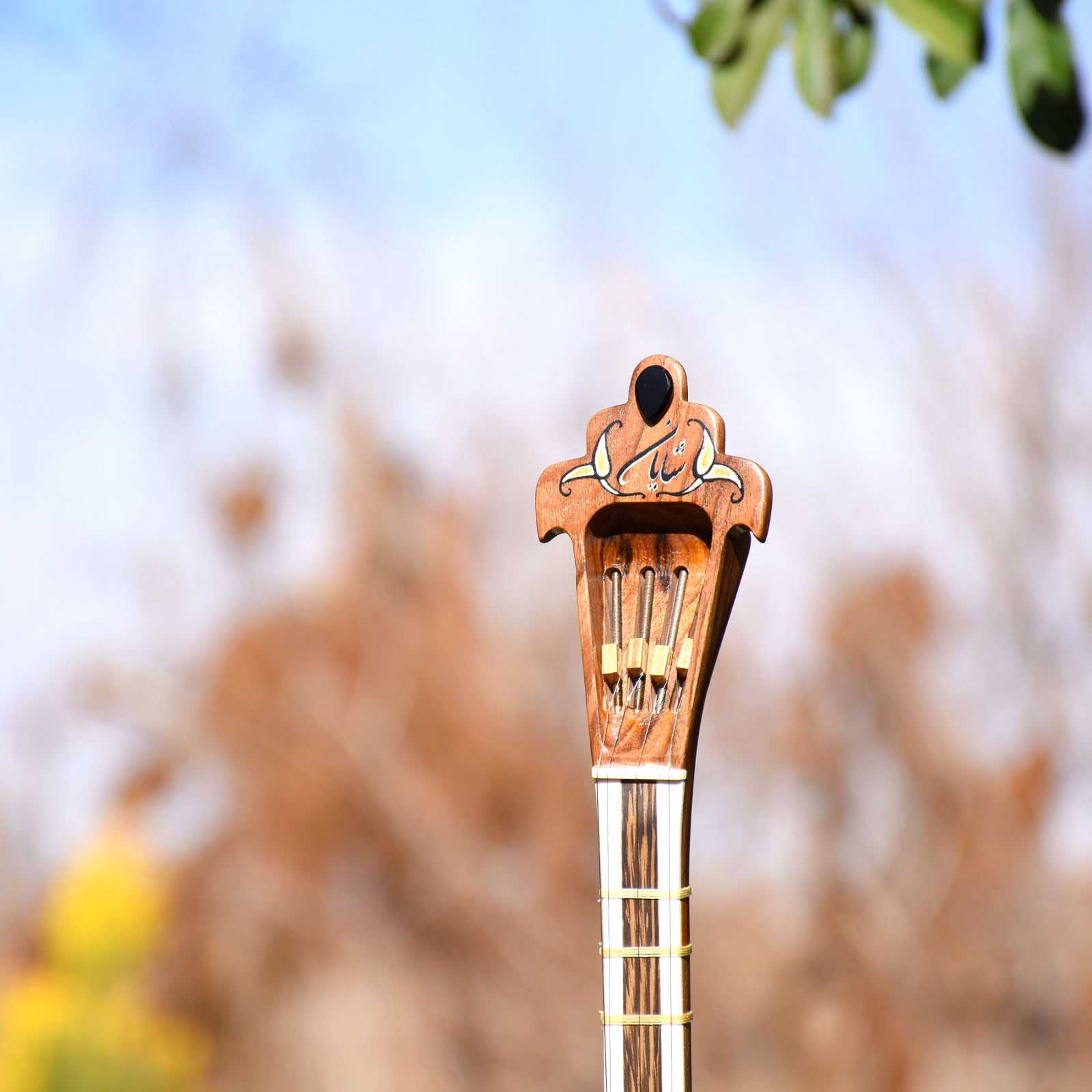 波斯 Setar – Iransaz 制作，Shayan 款（专业级）