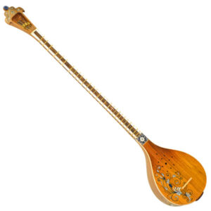 伊朗 Iransaz 高级波斯 Setar，Homayoun 款（专业款）