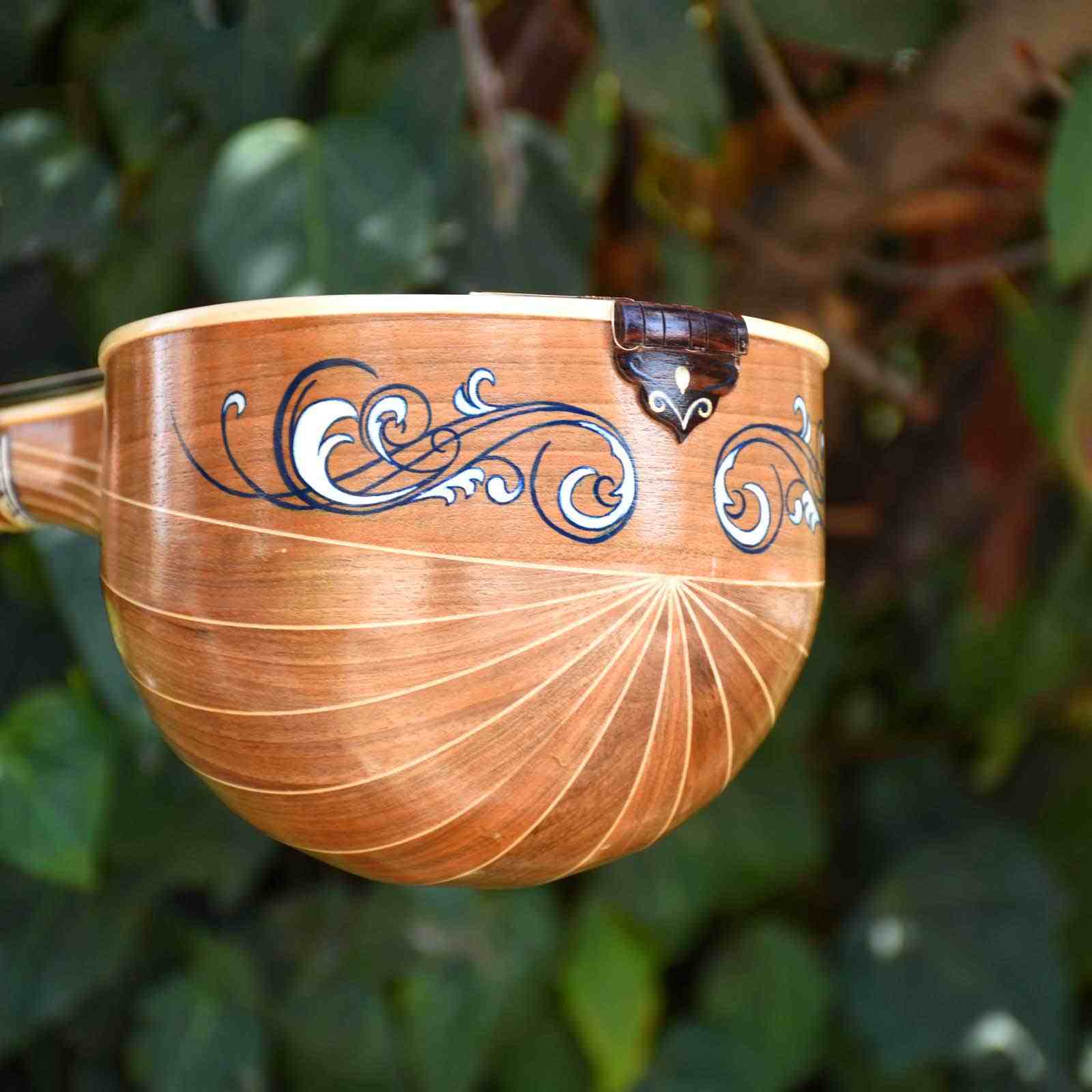 伊朗 Iransaz 高级波斯 Setar，Homayoun 款（专业款）