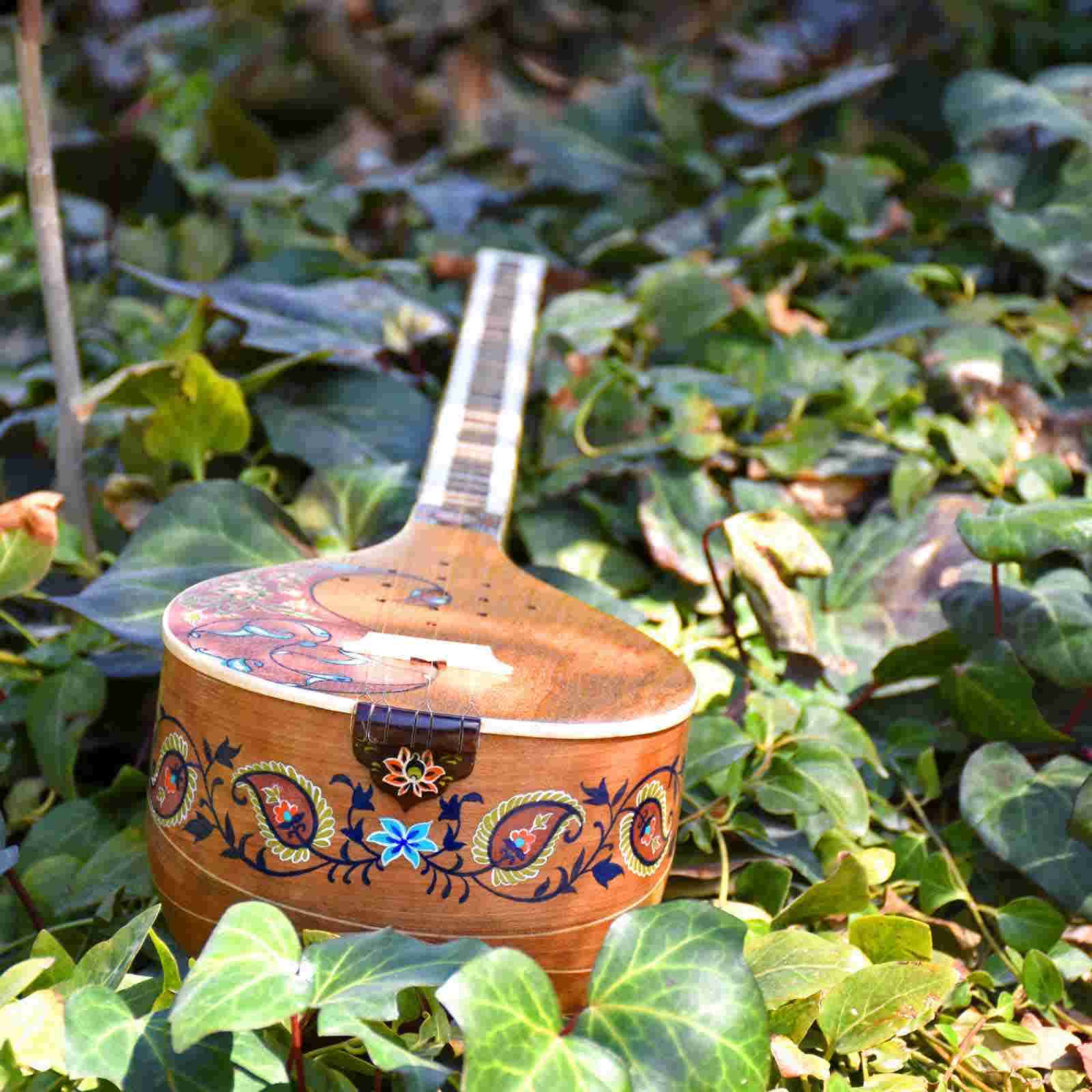 伊朗 Iransaz 波斯 Setar – Tarnam 款（专家级）