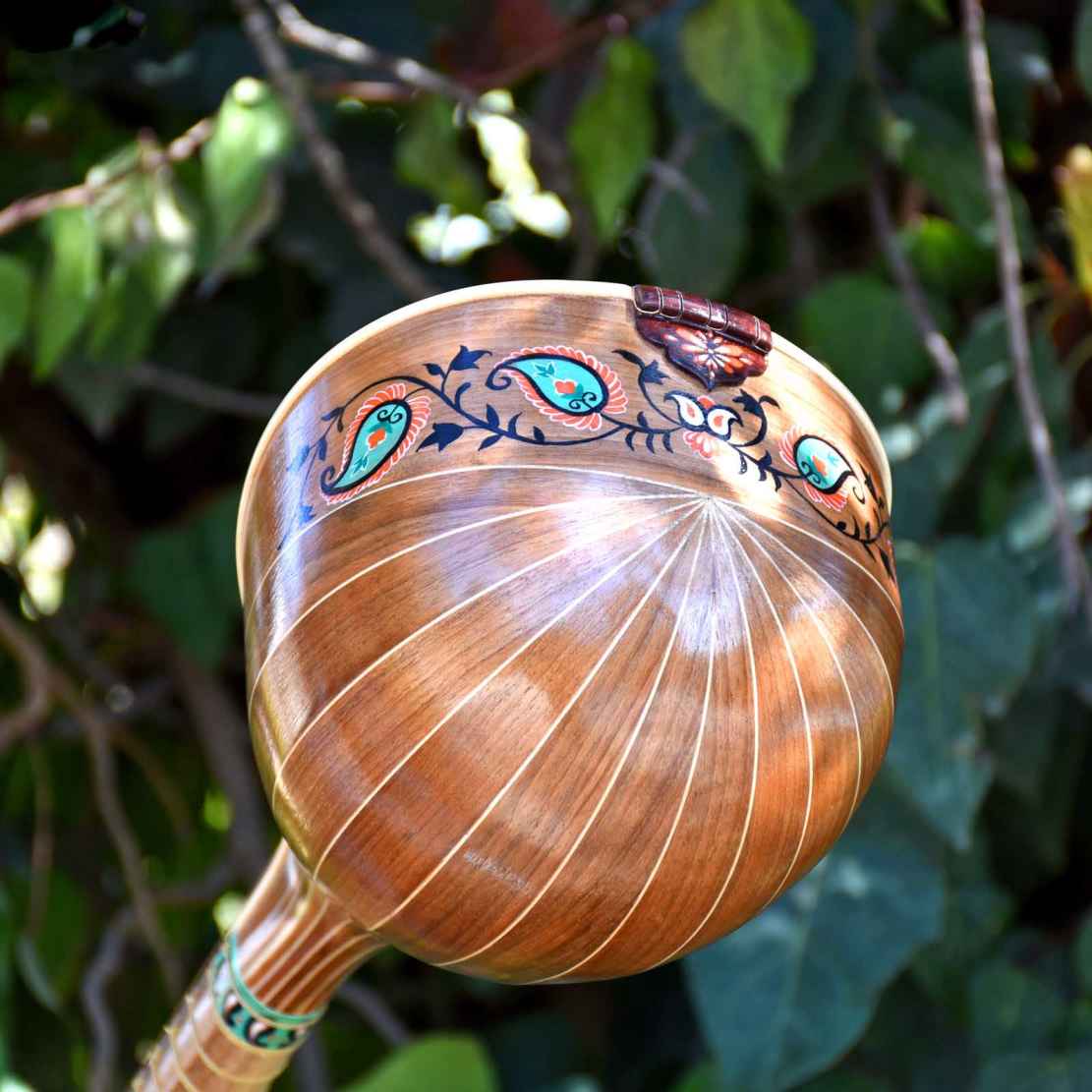 伊朗 Iransaz 手工波斯 Setar，Yas 款（专业品质）