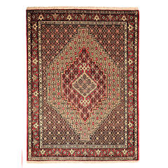 波斯地毯 精细手工结制 Medallion 羊毛 Toranj Mahi