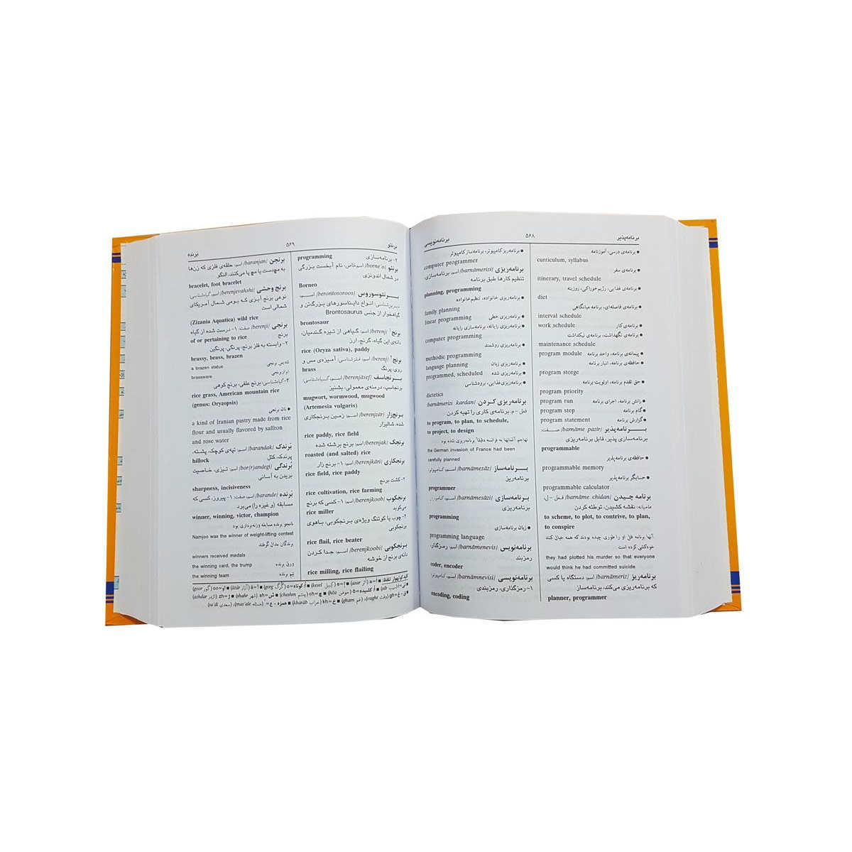 《Aryanpur 英波渐进词典 4 卷》