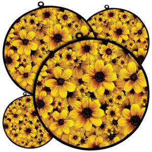 Damkoni – 波斯米饭帽形锅盖蒸汽收集器 4 件套 – Sunflower 款