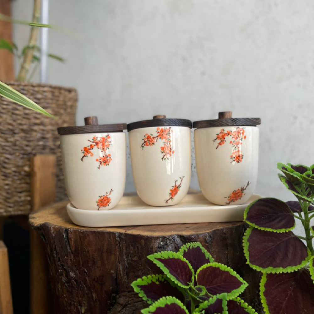 陶瓷罐套装 – 厨房收纳与整理理想选择，Spring（3 件套）