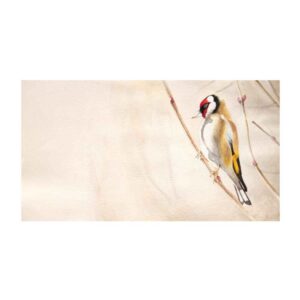原作写实艺术绘画 – 纸板油画，《鸟》