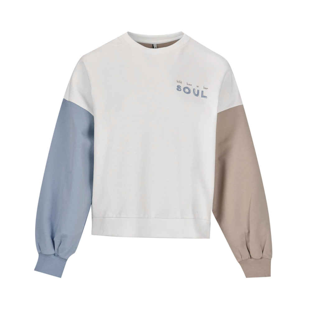 Main image of 女式棉质卫衣 85121 款