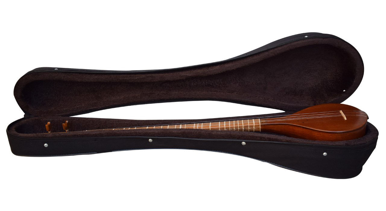 Hesam Malekshahi 中级波斯 Setar