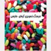 《韩语–波斯语视觉词典》– Zahra Yousefi Rad 著