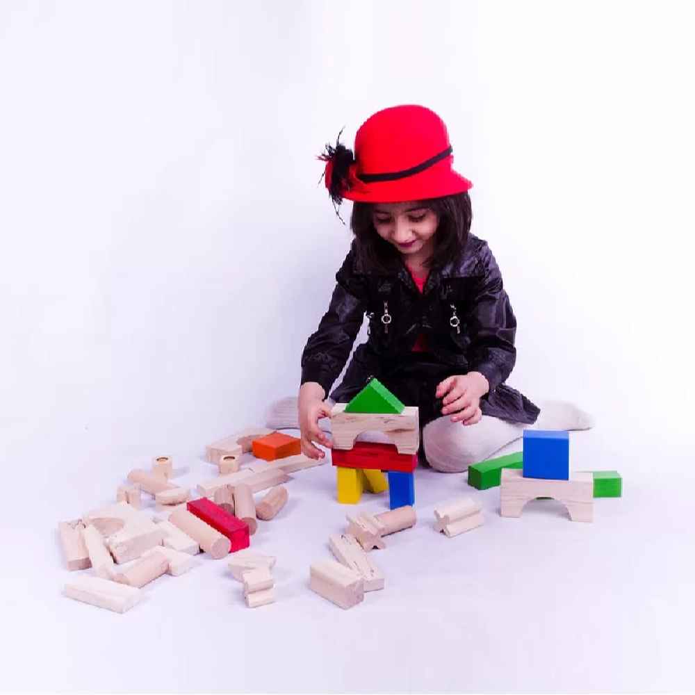 50片木质几何益智拼图 —— 综合挑战