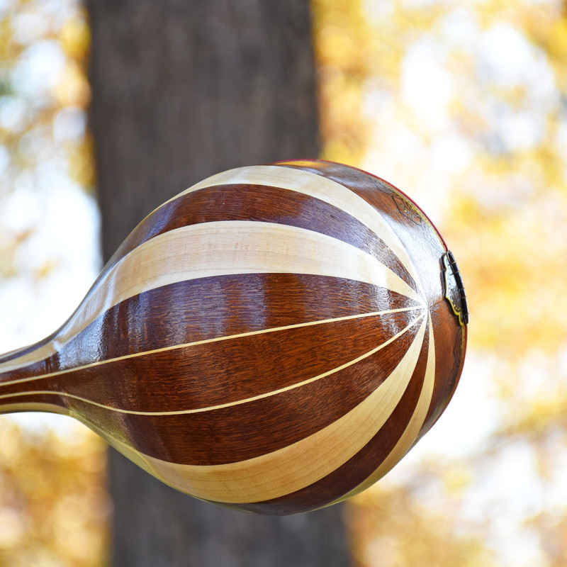 波斯 Setar(Iransaz 制作)– Eshgh-e To 型(高品质)