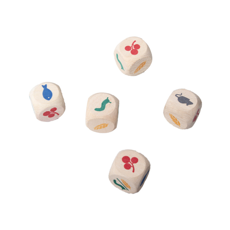 《展翅 Wingspan》卡牌游戏(波斯语版)