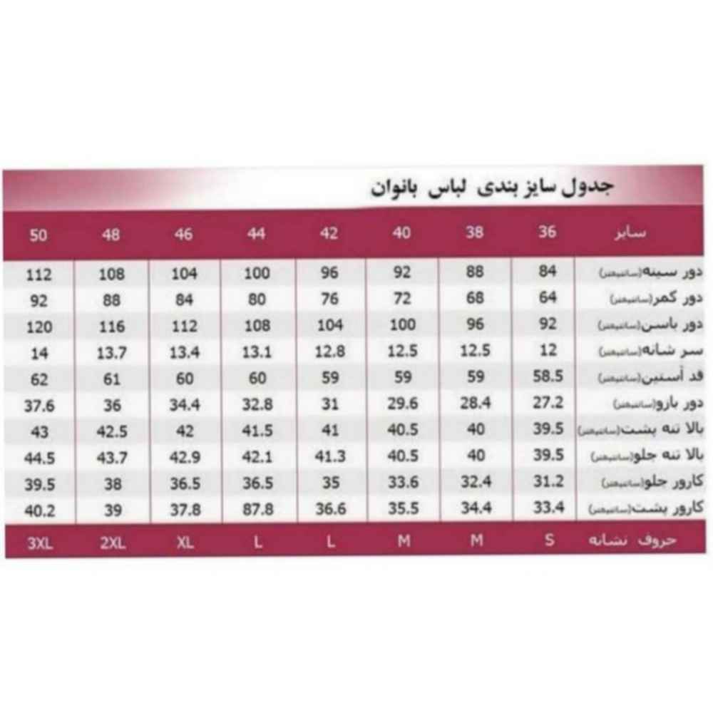 女士短袖刺绣衬衫 款式 Swallow