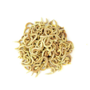 干黄芪果荚 / 多毛野豌豆 – 500克