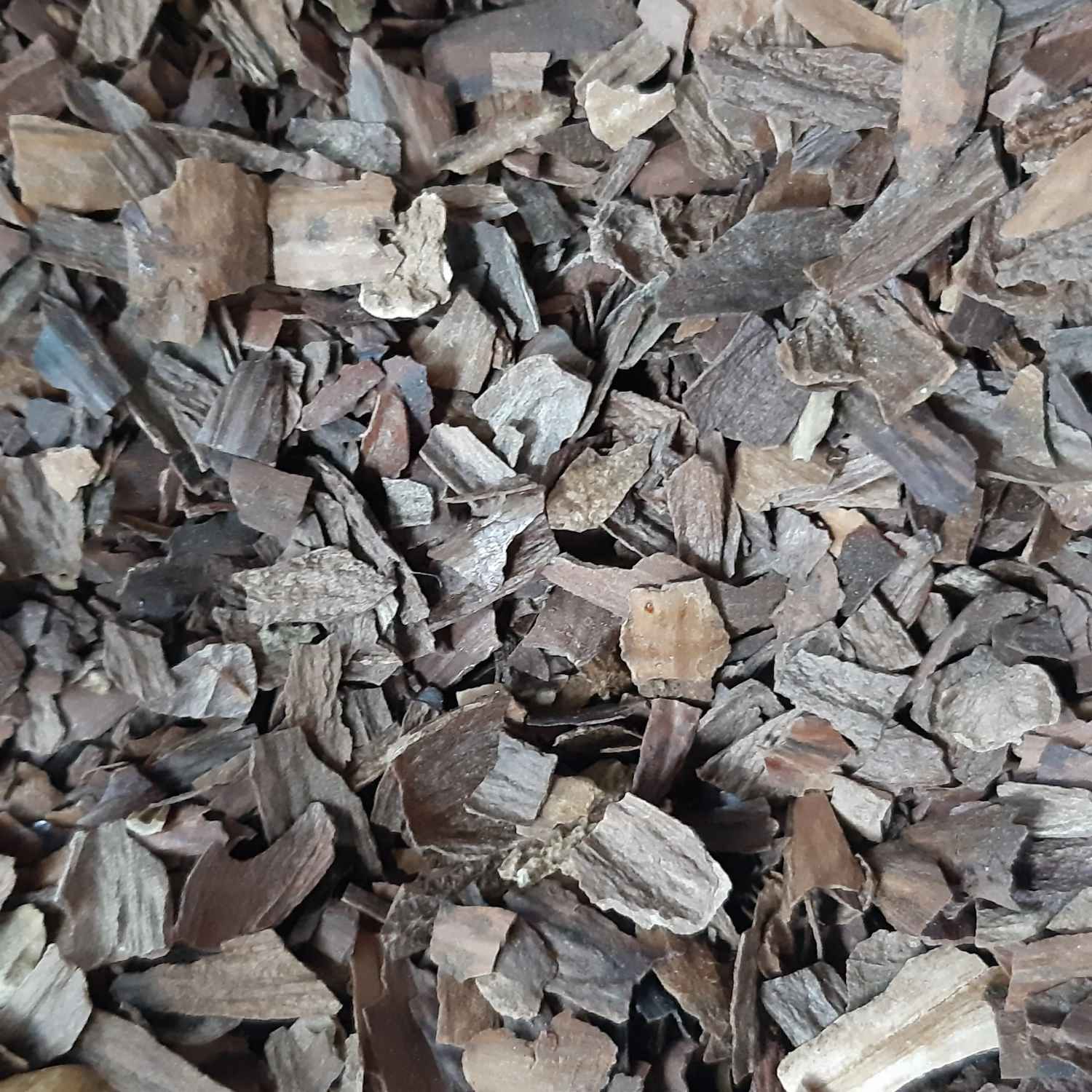 干橡树皮，有机采自伊朗 – 500克