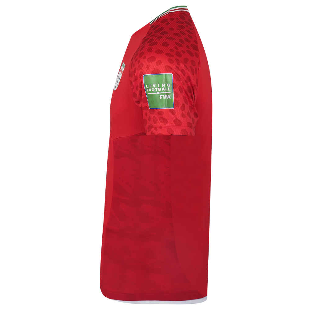 伊朗 2022 世界杯足球球衣