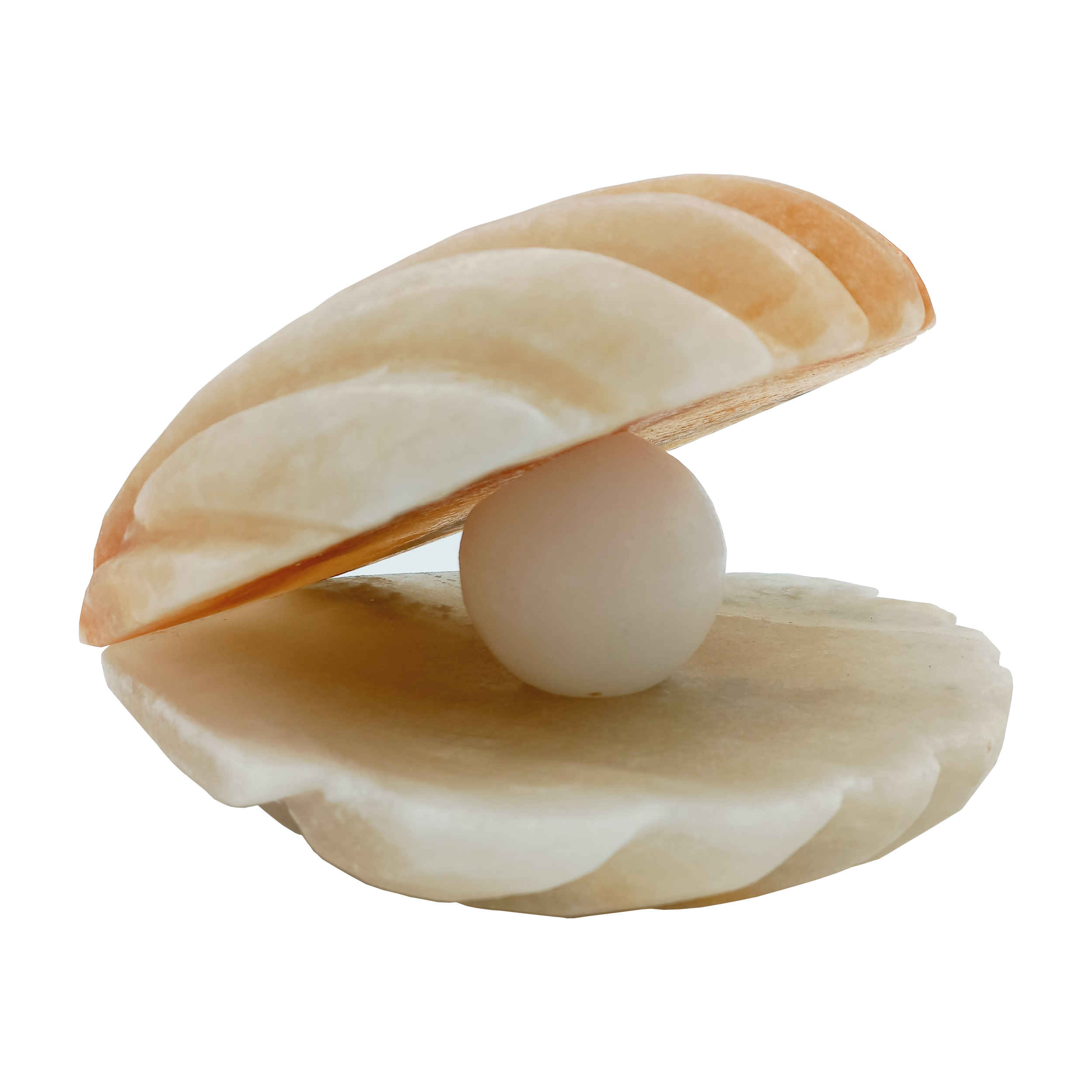 Main image of 盐灯 – 手工贝壳与珍珠设计