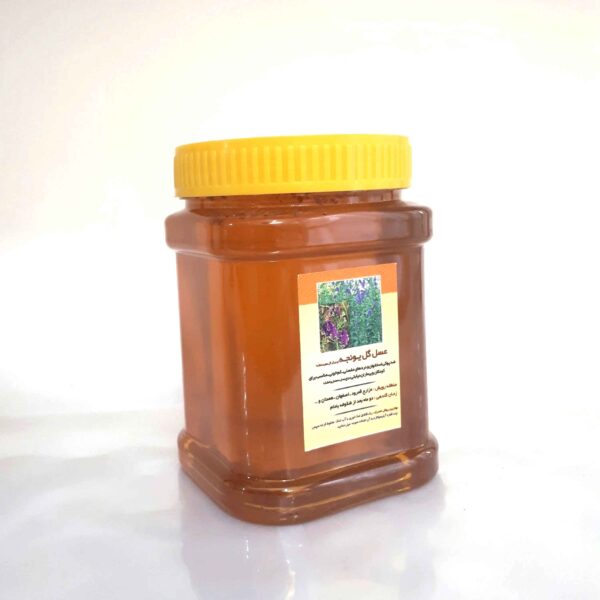 伊朗紫花苜蓿蜂蜜 – 纯正牧场甜味 (1000克)