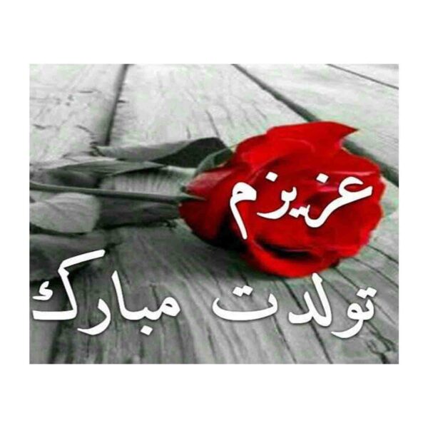 生日快乐贺卡 优雅红玫瑰设计