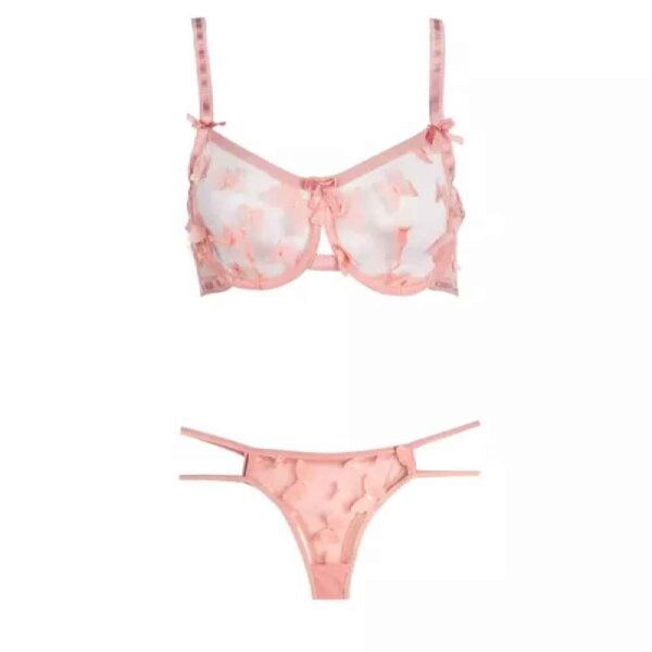 女士内衣套装：胸罩与丁字裤，时尚蝴蝶设计