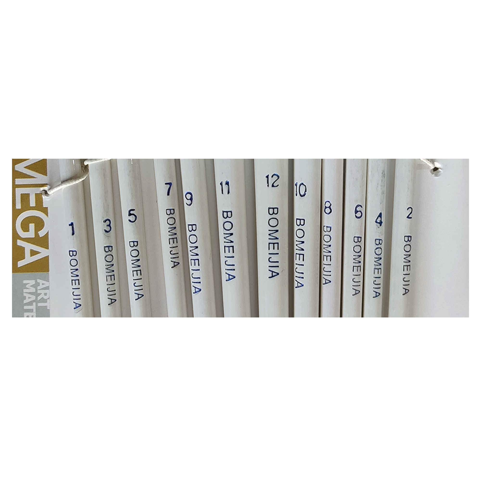 12件套扁形鬃毛画笔套装，适用于水彩、丙烯和蛋彩