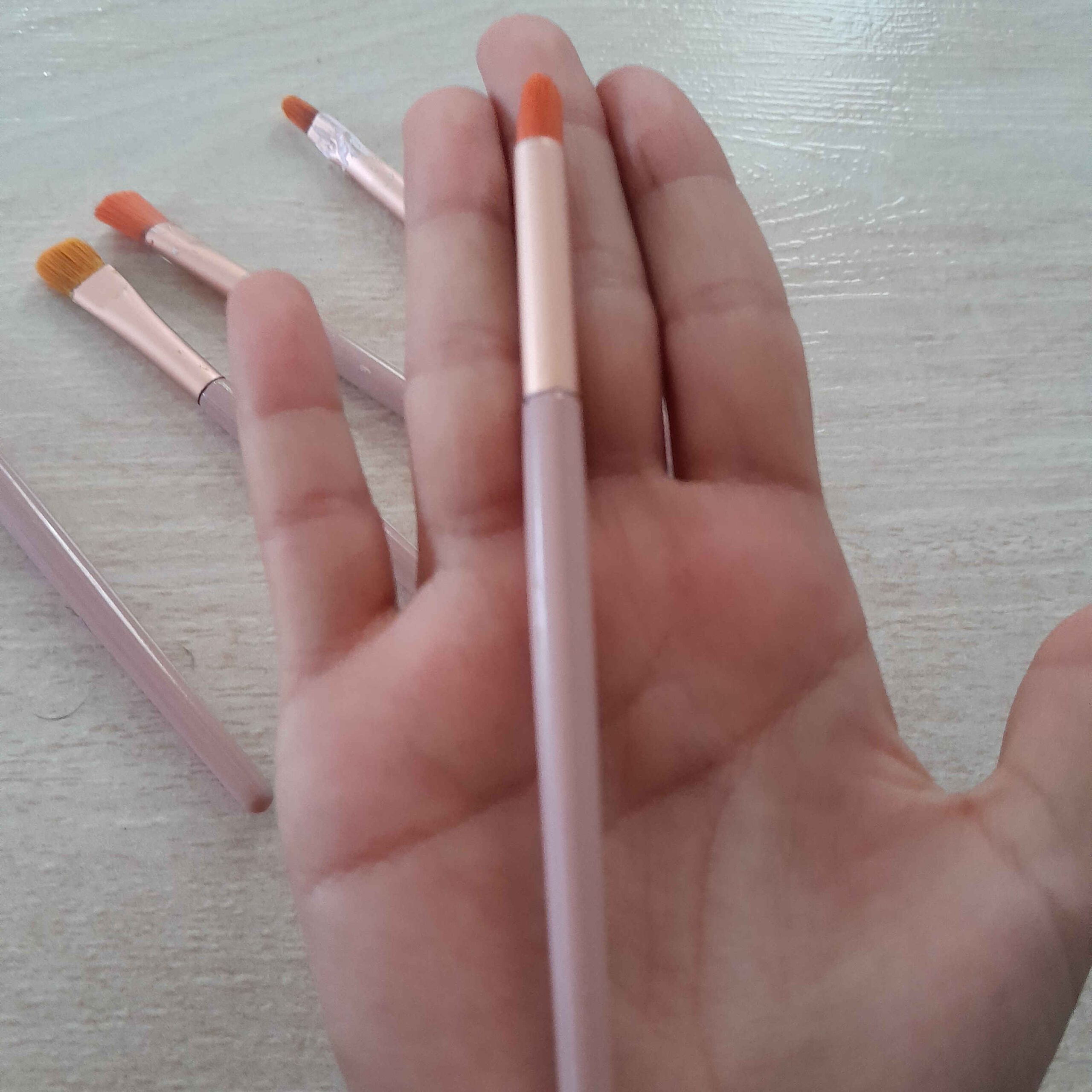 5件套Filbert鬃毛画笔,适用于水彩、丙烯和蛋彩