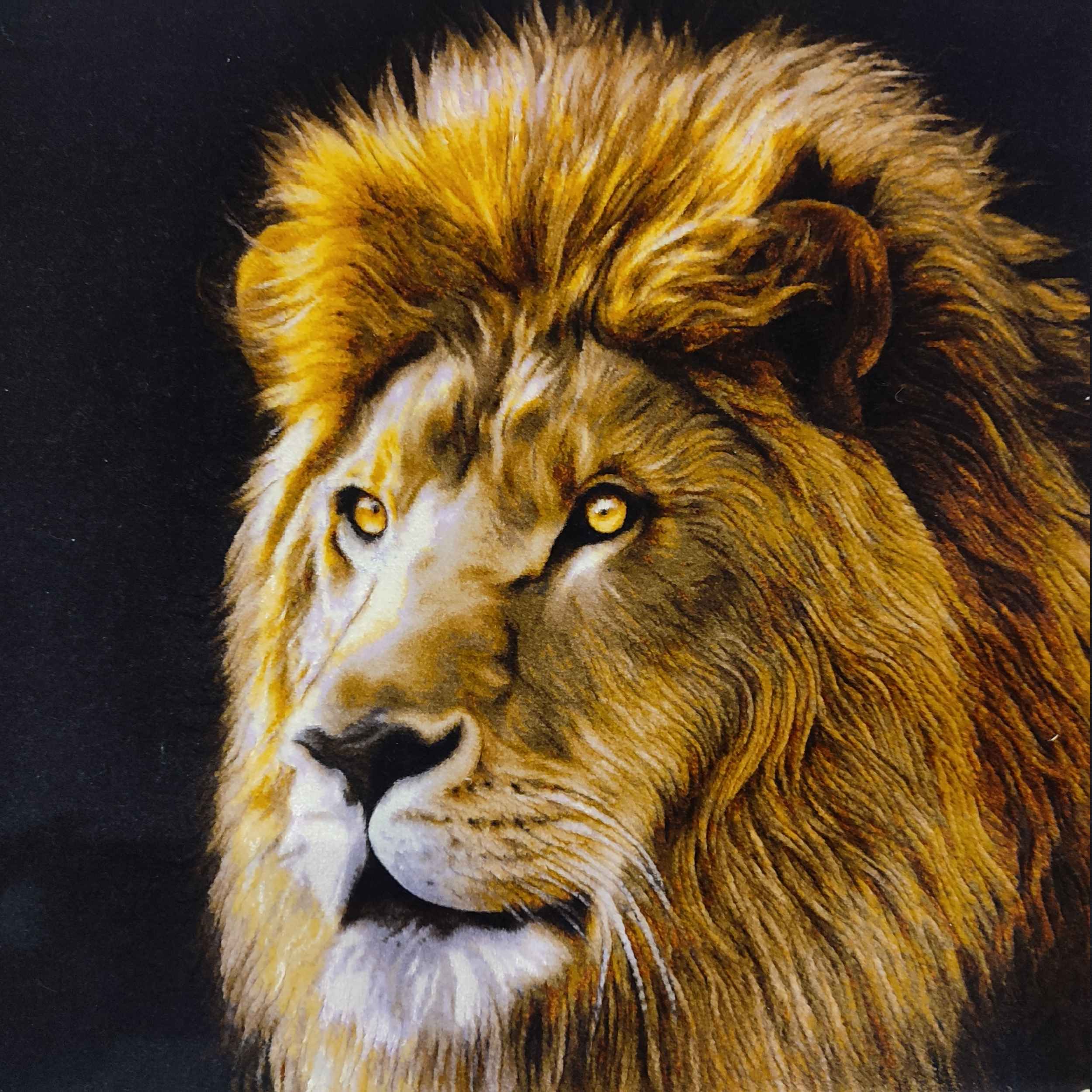 手工结波斯挂毯 – 塔布里兹,黑狮图案