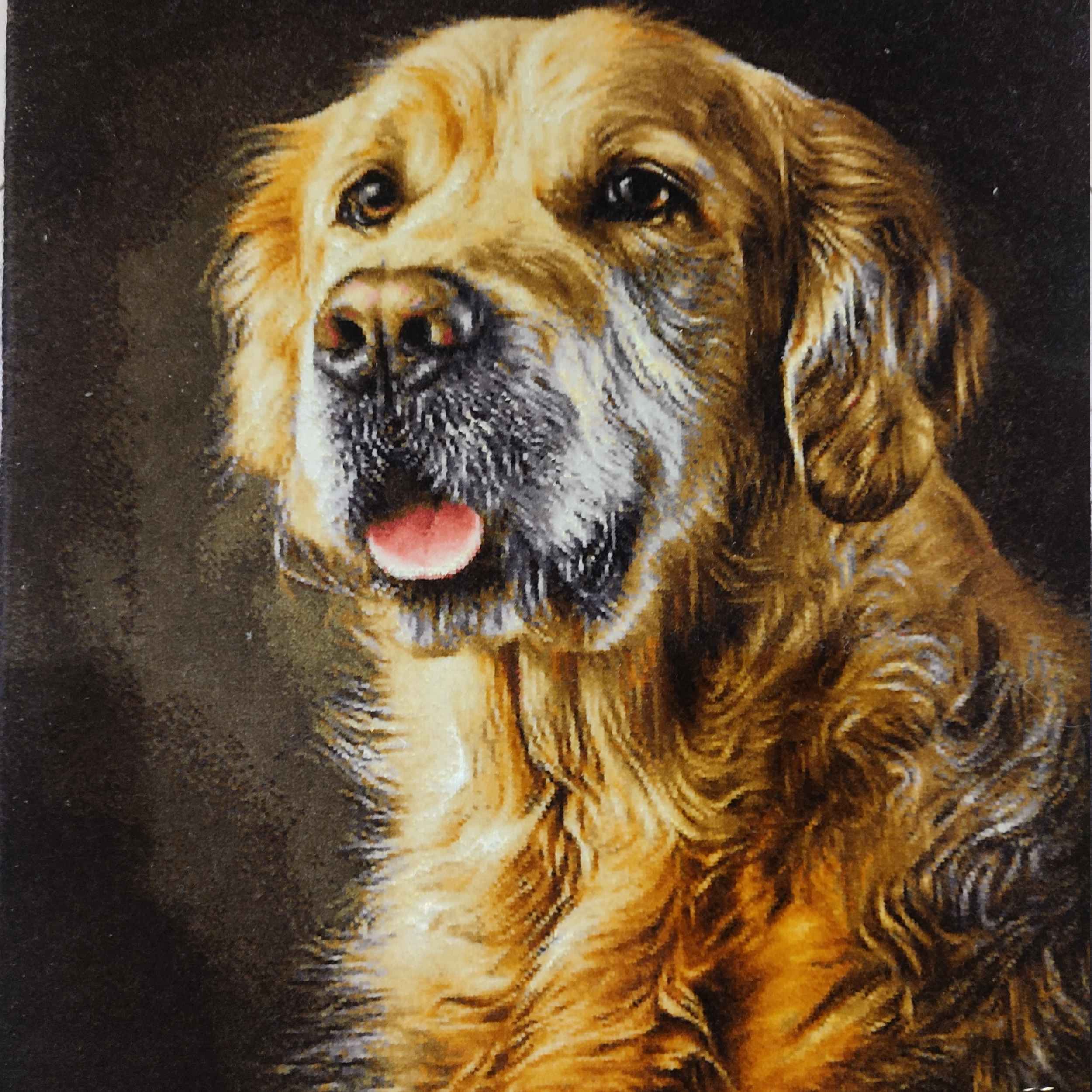 手工结波斯挂毯 – 塔布里兹,金毛寻回犬图案