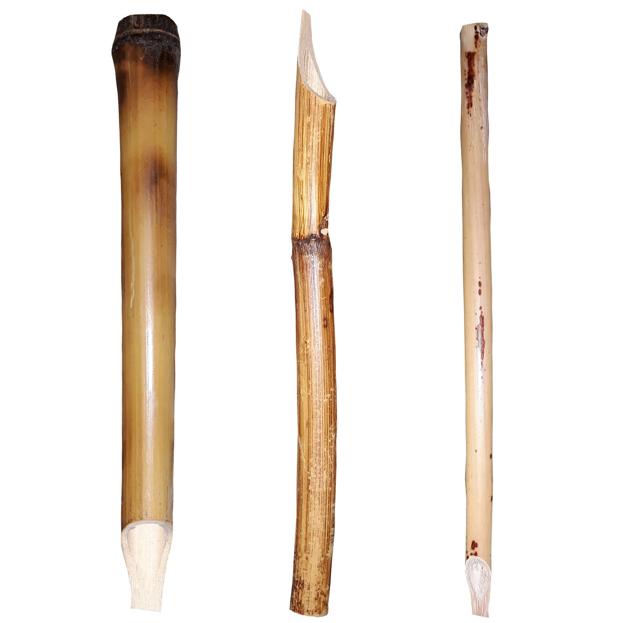 Qalam 芦苇笔 – 波斯、阿拉伯及伊斯兰书法专用