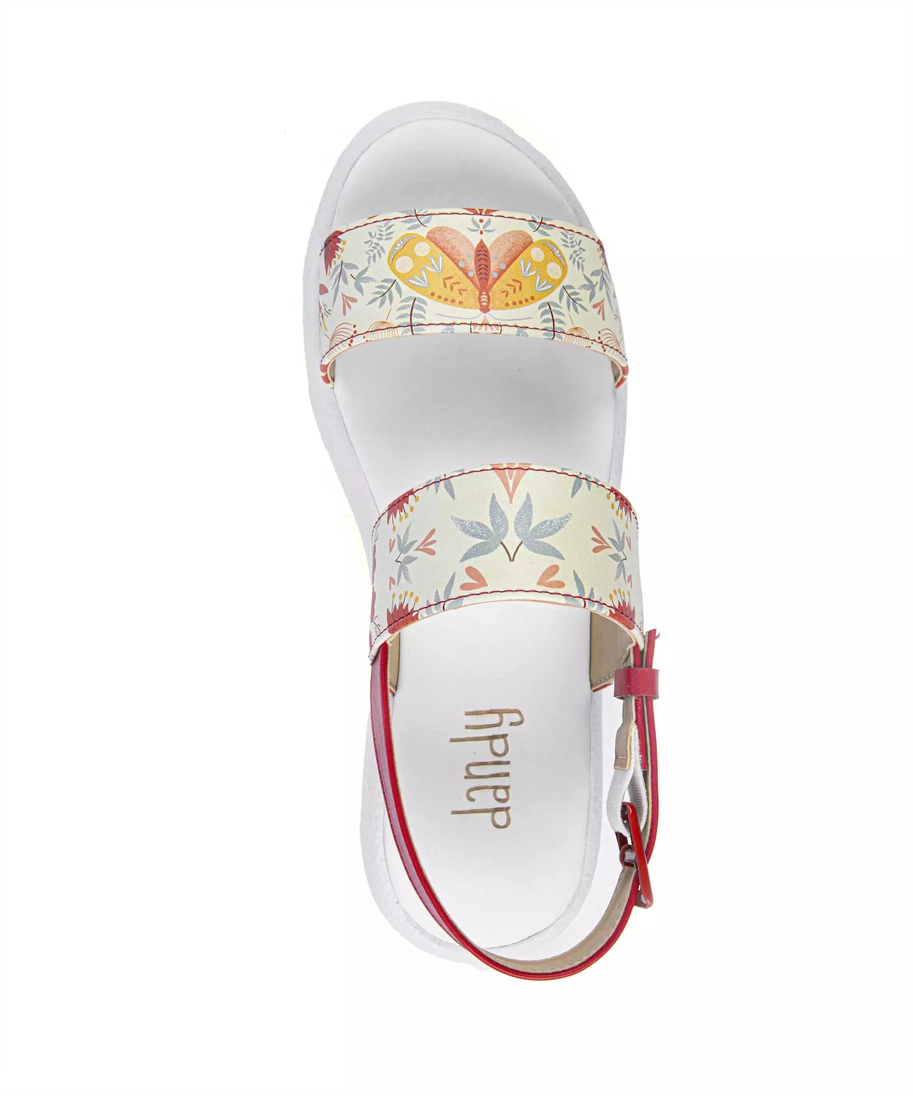 女士蝴蝶款休闲露趾凉鞋